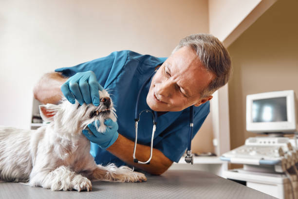 Best Emergency Root Canal Treatment in El Reno, OK